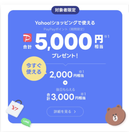PayPayポイント5,000円相当プレゼントのバナー