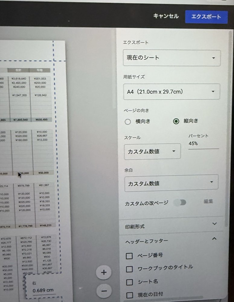 年間家計簿をPDFにする設定画面。縦向き、スケール45%